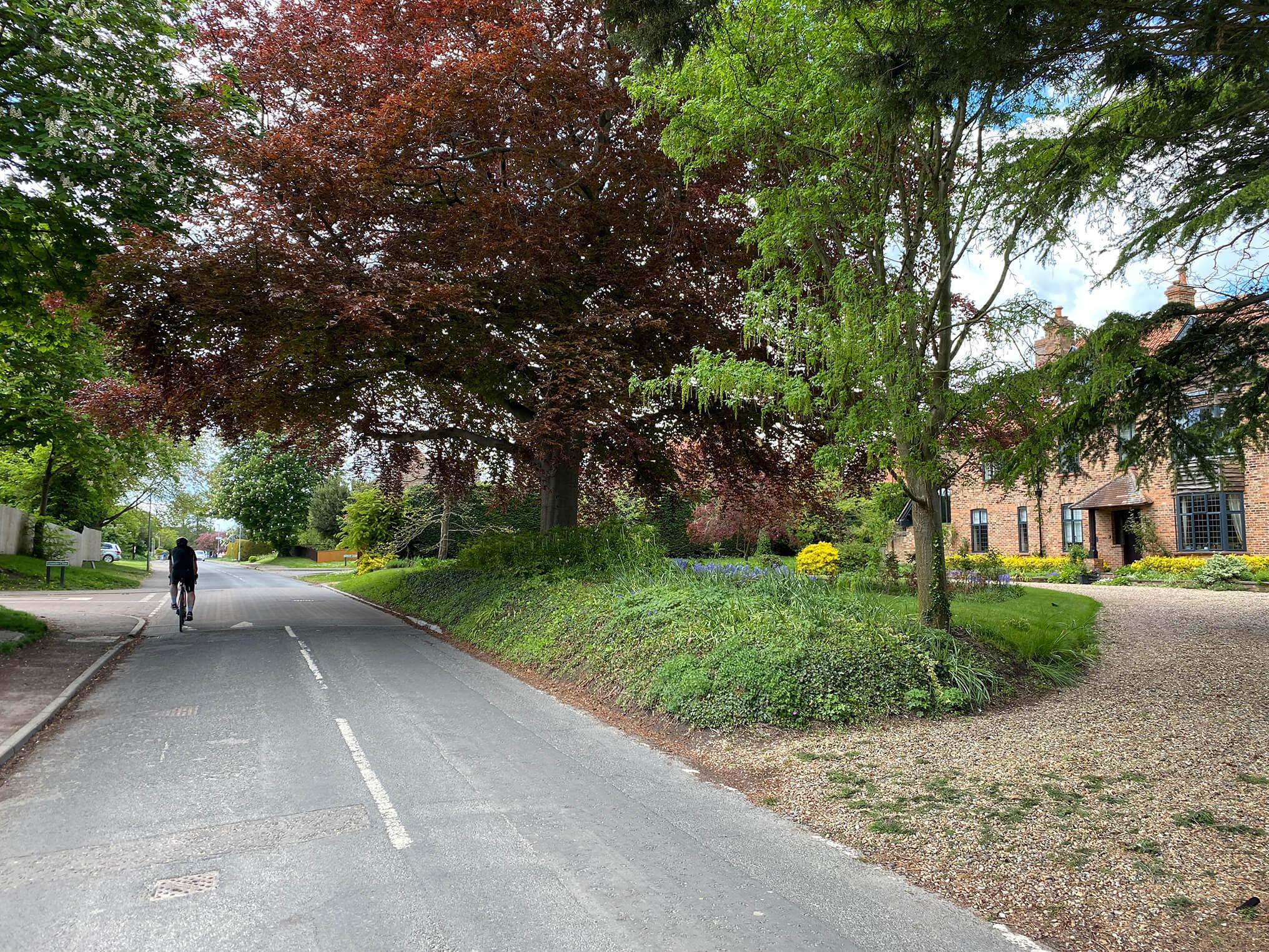Tunbridge-Lane-IMG_0552