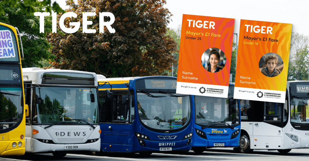 Tiger Pass Consultation