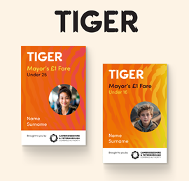 Tiger Pass Buses